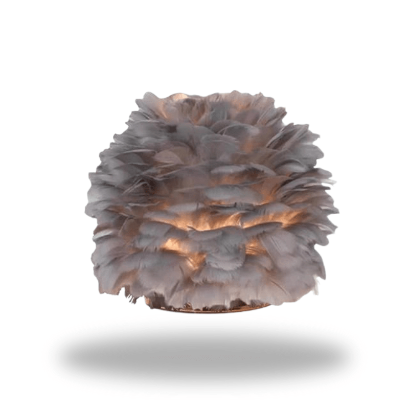 Mes lampes de chevet ® gris / Lumière Froide Lampe de chevet plume délicate