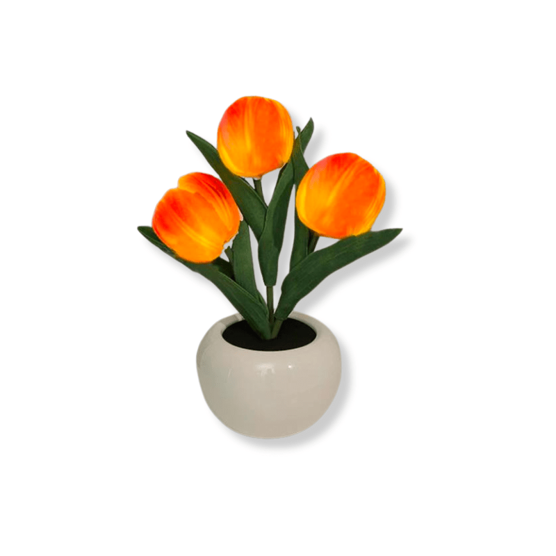 Ma boutique Orange Lampe de Chevet Romantique