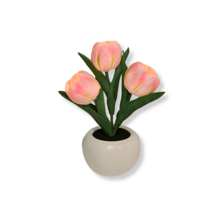 Ma boutique Rose Lampe de Chevet Romantique