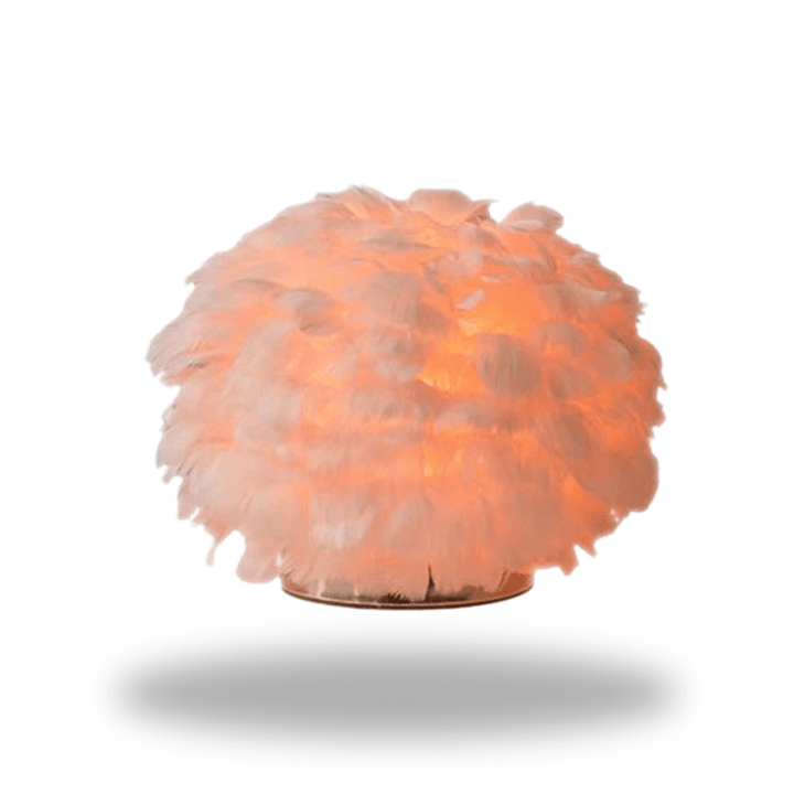 Mes lampes de chevet ® rose / Lumière Chaude Lampe de chevet plume délicate